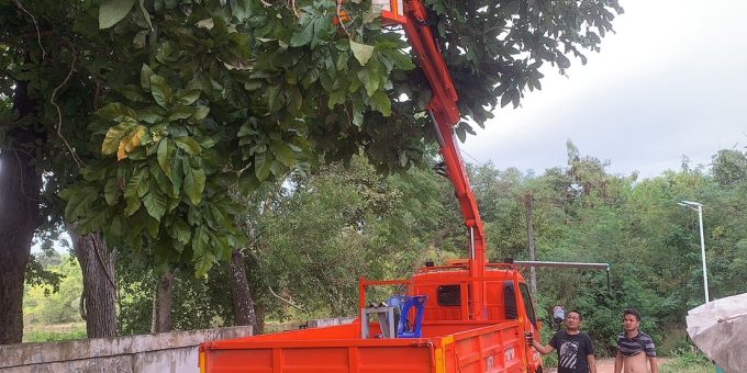 องค์การบริหารส่วนตำบลนาหว้า ตัดแต่งกิ่งไม้บริเวณข้างวัดสว่างอารมณ์ บ้านหนองบัว หมู่10